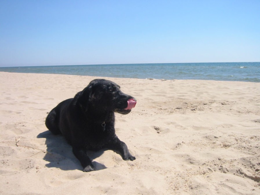 Parker, age 3, at Lake Michigan
